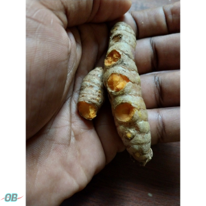 Evidence of Curcumin in Turmeric