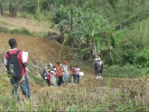 Geology Field Work